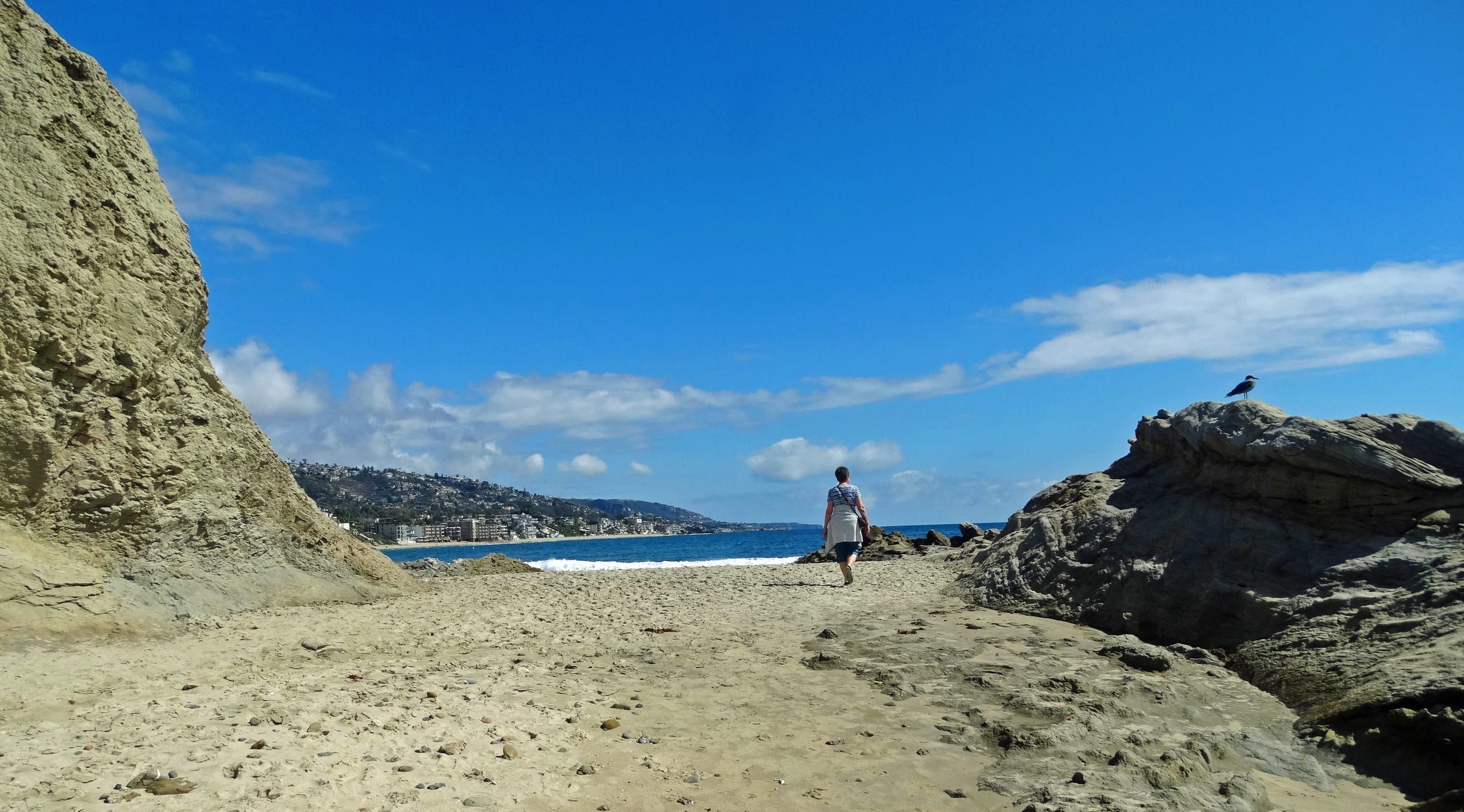 Beach walk, Laguna tide pools
