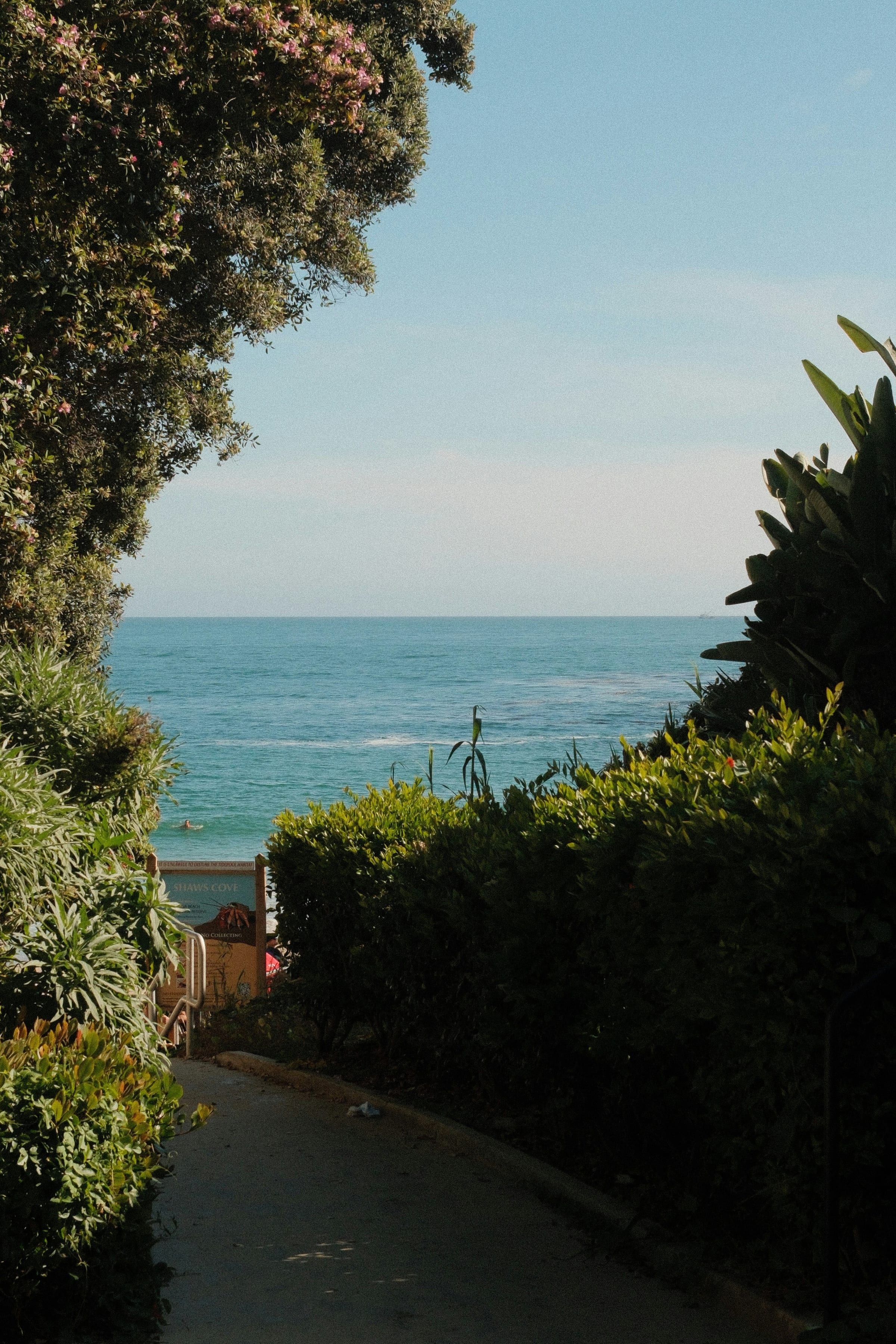 A garden path leading to an ocean view in Laguna Beach