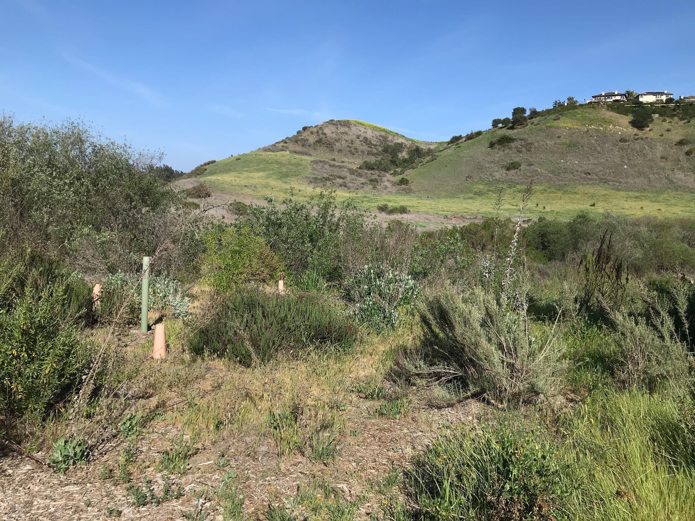 Trail and hills, Aliso and Wood Canyons Wilderness Park