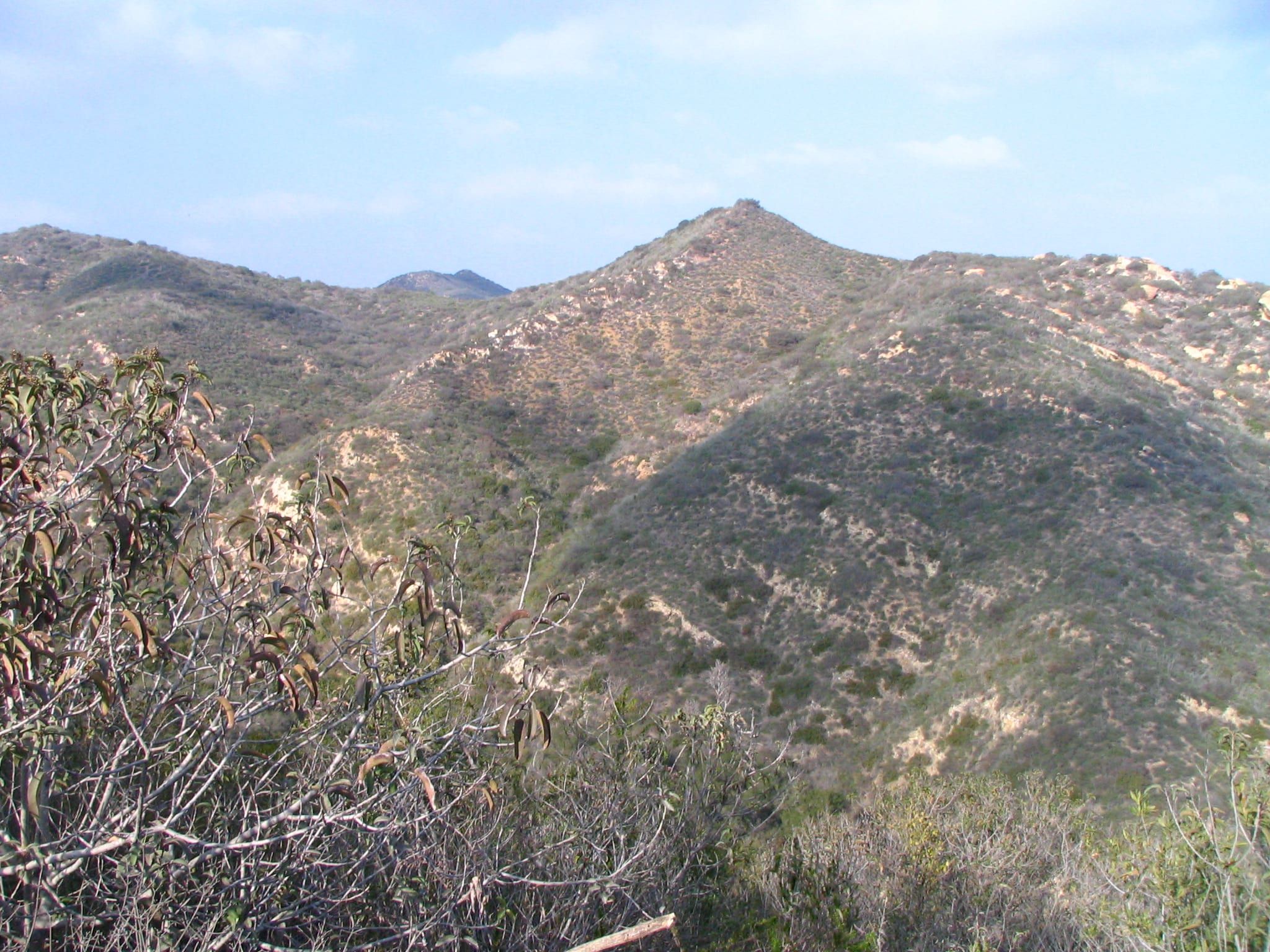 Hills along Laguna Canyon