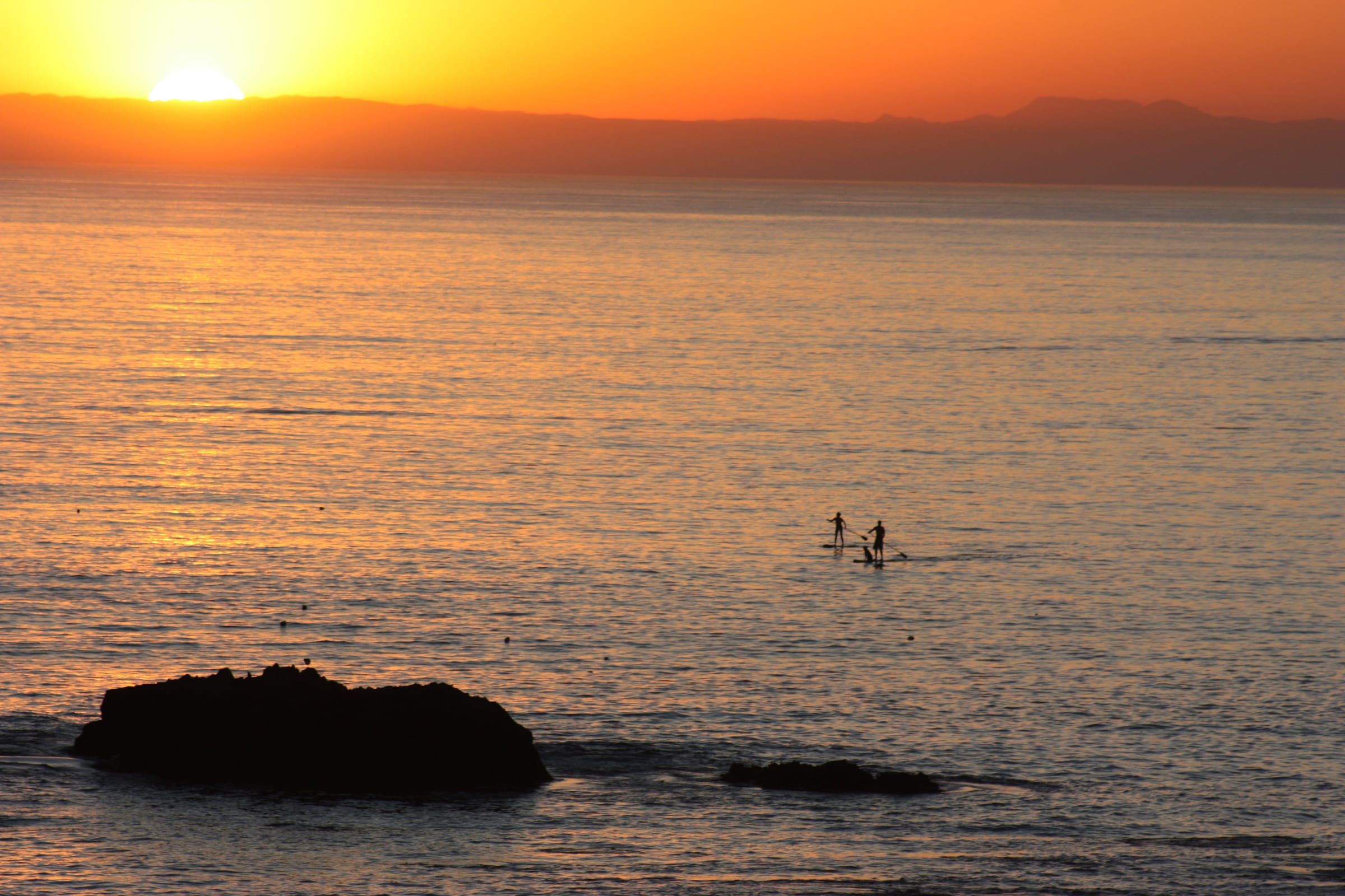 Paddleboarders at sunset, Laguna Beach