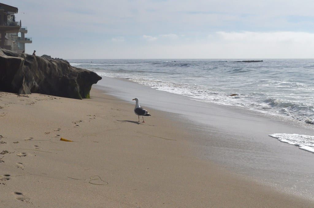 Oak Street Beach, Laguna Beach