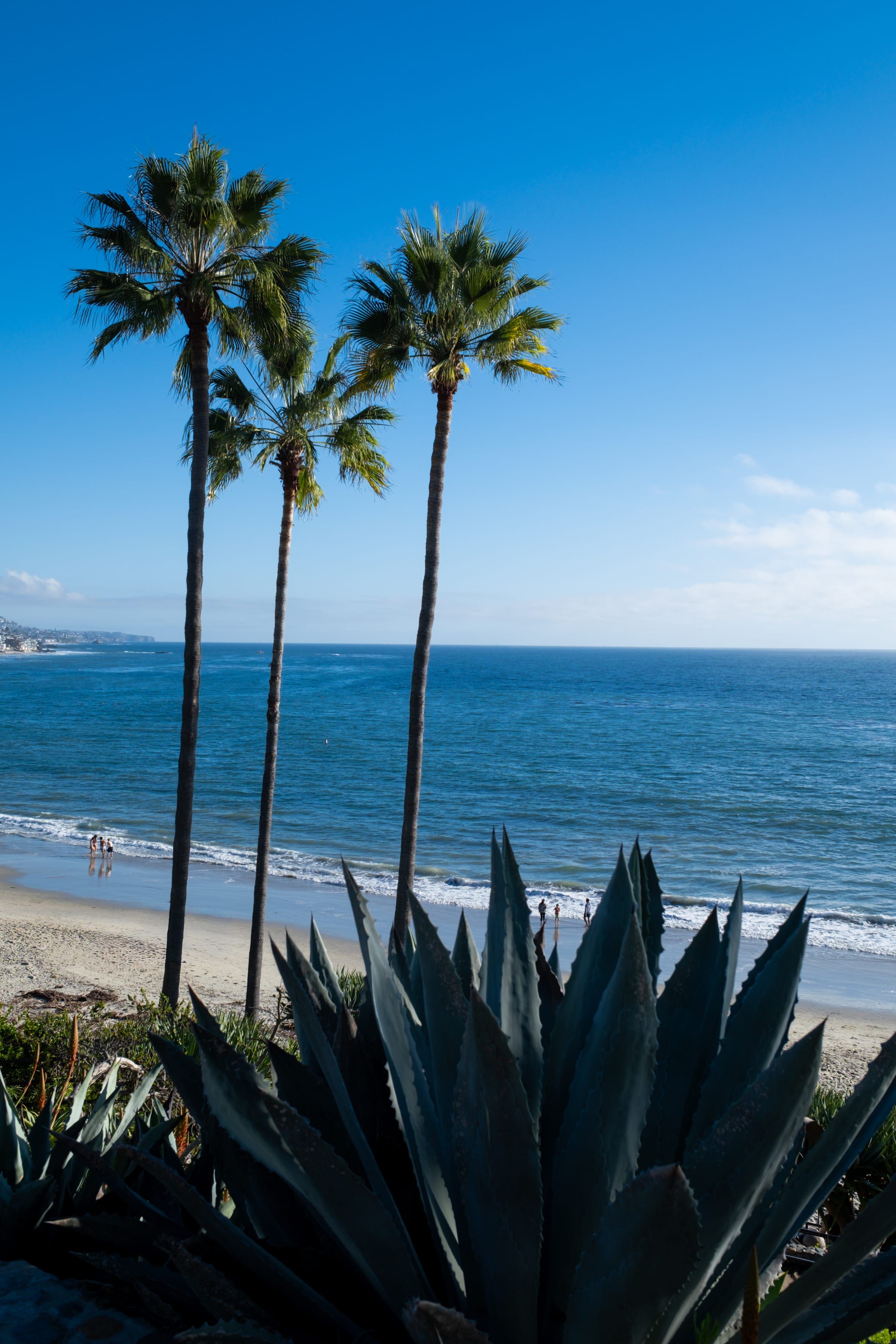 Laguna Beach 11/23/2025