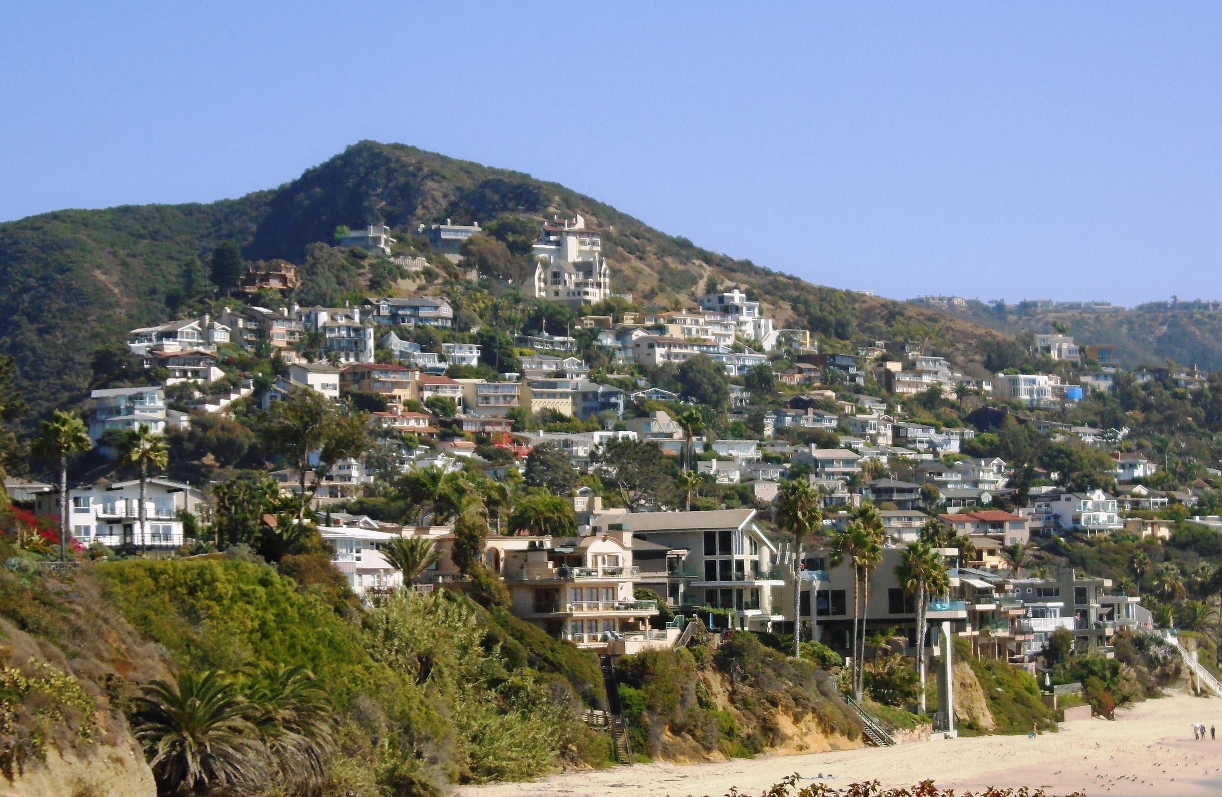 Houses on a south Laguna Beach hillside above the beach, with palm trees in the foreground