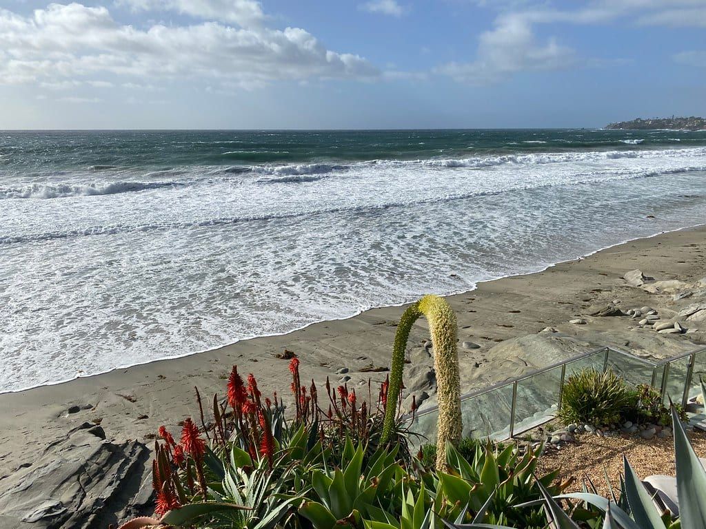 Anita Street Beach, Laguna Beach, California