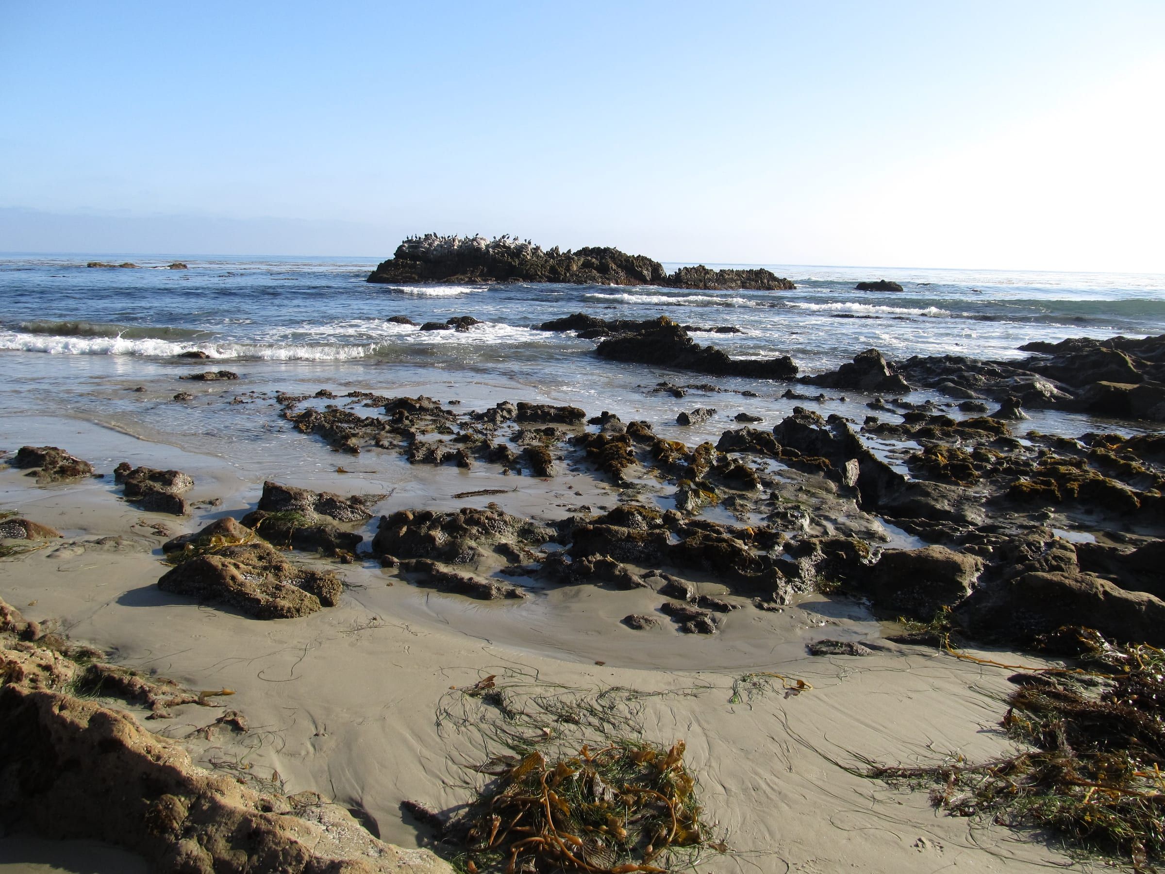 Bird Rock, Laguna Beach, California