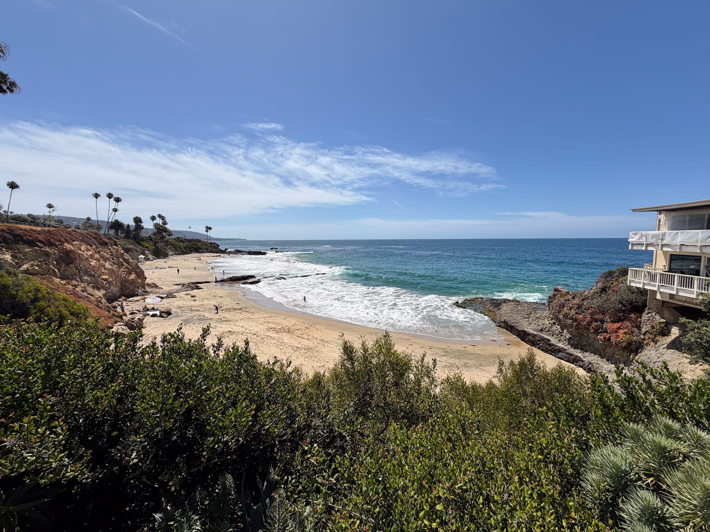 Overlooking Divers Cove, Laguna Beach