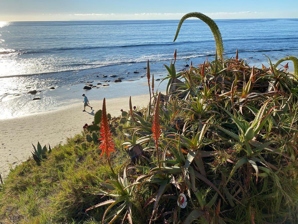Anita Street Beach. Laguna Beach, CA