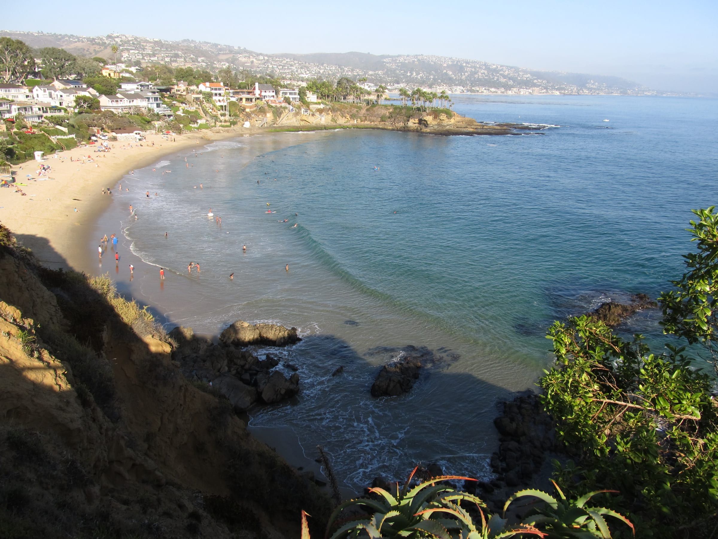 Bird watching in Laguna Beach, Laguna Beach