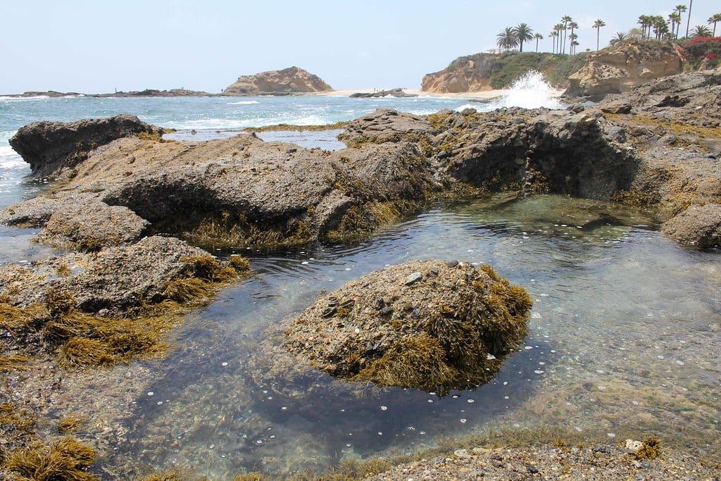 A tide pool among the rocks at Treasure Island Beach
